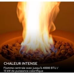 Vitina Foyer à Gaz 40.000BTU/13kW Couverture Brûleur En Acier Inoxydable -Chauffage Équipement Magasin 55015747 3