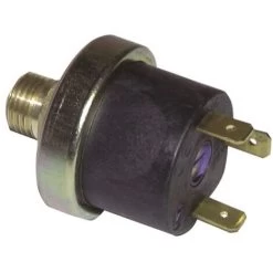 Pressostat Manque Eau 0.5b - FERROLI FRANCE : 39806180