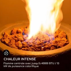 Chauffage à Gaz - Blumfeldt Andros - 40.000btu/13kw Couvercle Brûleur En Acier Inoxydable - Gris -Chauffage Équipement Magasin 88715955 3