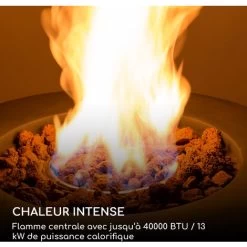 Chauffage à Gaz - Blumfeldt Vitina - 40.000btu/13kw - Couverture Brûleur En Acier Inoxydable - Gris -Chauffage Équipement Magasin 89223170 3